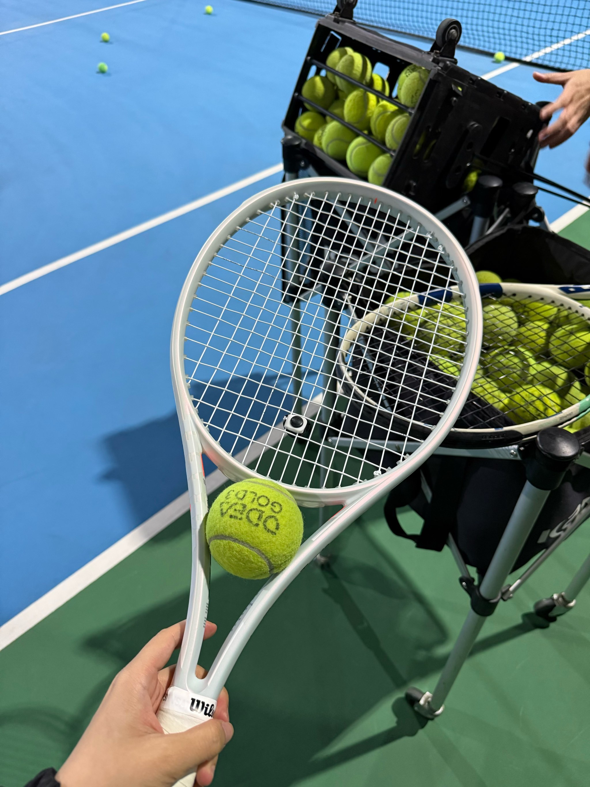 年的榜样 年的榜样